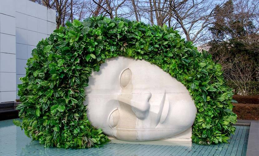 An Open-Air Sculpture of a head covered in Ivy at the Hakone Open air Musuem