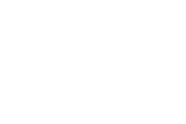 Roswell New Mexico logo